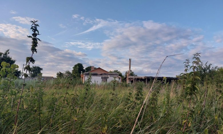 Вечір у селі, яке через війну тримається на жінках: як пахне і відбудовується Количівка