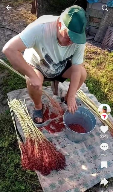 В’яжуть віники, вирощують овочі та ведуть сторінку в TikTok: історія вчительки з Чернігівщини