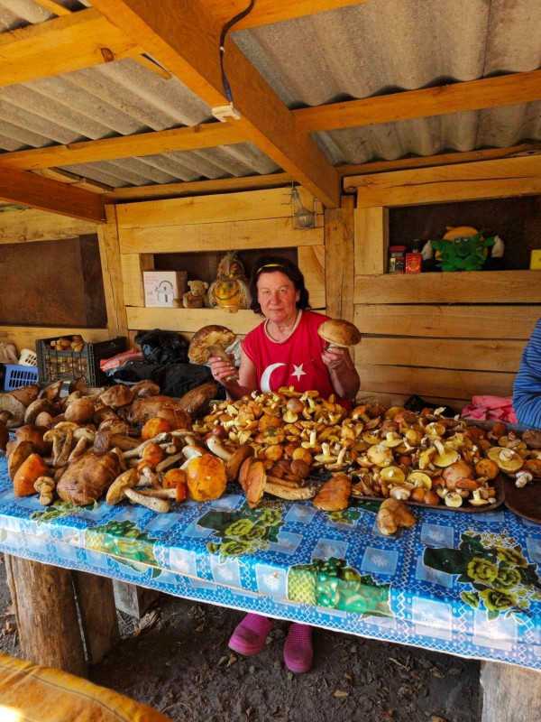 Грибники Чернігівщини хваляться врожаєм із «тихого полювання» (Фото)