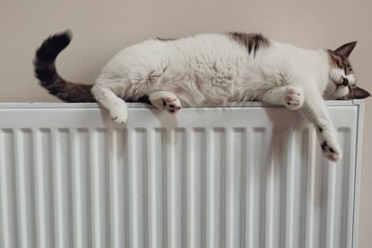 Із завтрашнього дня у будинках чернігівців буде тепло