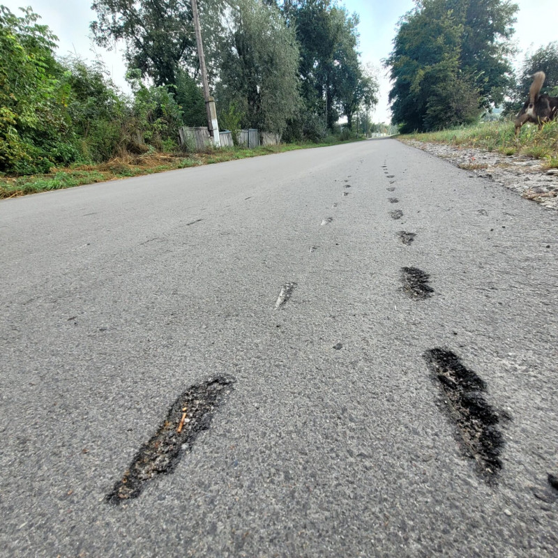 «Мого сина розстріляли»: свідчення жительки села Припутні