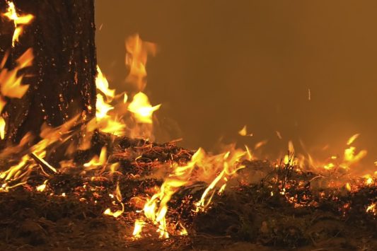 На Чернігівщині під час пожежі травмовано дитину