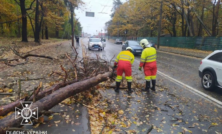 Наслідки негоди на Чернігівщині (Фото)