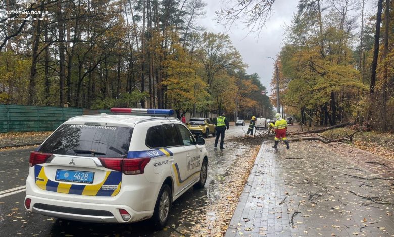 Повалені дерева та ускладнення руху: у Чернігові негода наробила лиха