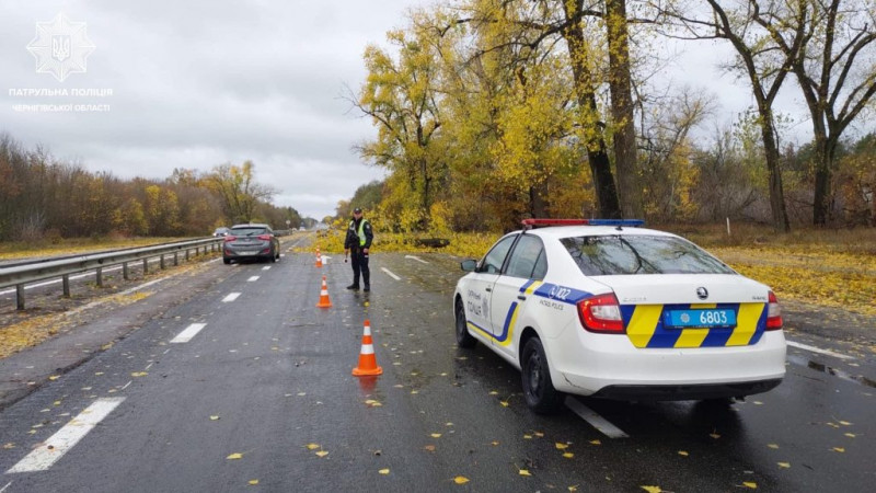 Повалені дерева та ускладнення руху: у Чернігові негода наробила лиха