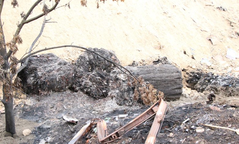 Причиною пожежі на міському сміттєзвалищі в Чернігові став підпал (Фото)