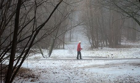 Синоптики розповіли, коли українцям чекати першого снігопаду