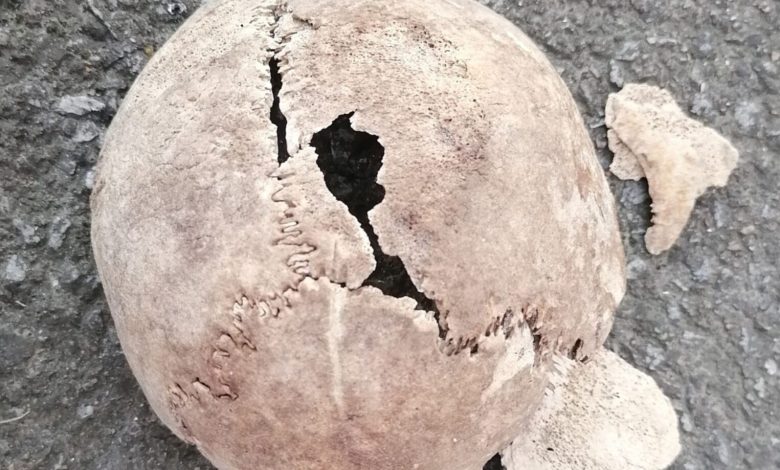 У Чернігові археологи розкопали язичницькі кургани