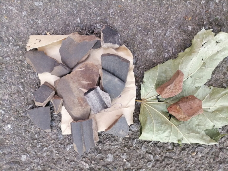 У Чернігові археологи розкопали язичницькі кургани