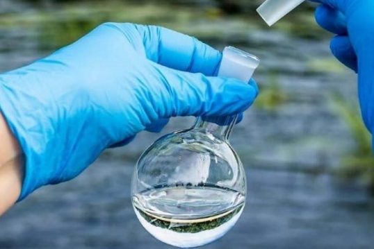 У річках довкола Чернігова провели біотестування води