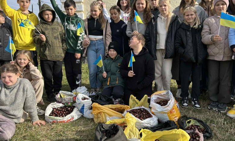 Учні разом із вчителями Сосницької школи назбирали 200 кг каштанів для допомоги ЗСУ (Фото)