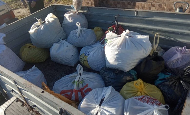 Учні разом із вчителями Сосницької школи назбирали 200 кг каштанів для допомоги ЗСУ (Фото)