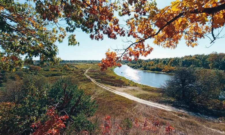 Жителі Чернігівщини насолоджуються золотою осінню (Фото)