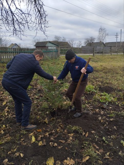 «Алея незламності»: на чернігівському прикордонні висадили декоративні ялиці