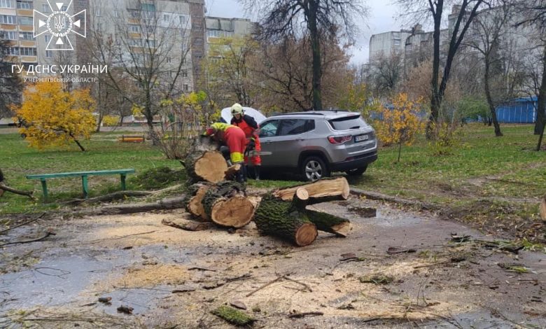 Деревопад на Чернігівщині (Фотофакт)