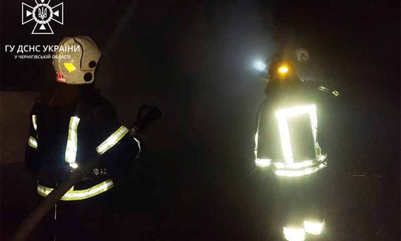 На Чернігівщині під час пожежі житлового будинку загинуло подружжя