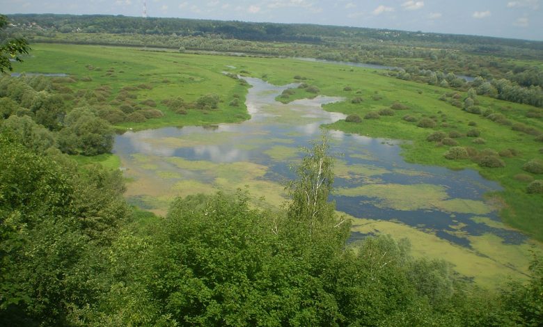 На Чернігівщині розташований унікальний ландшафтний заказник «Мурав’ївський»