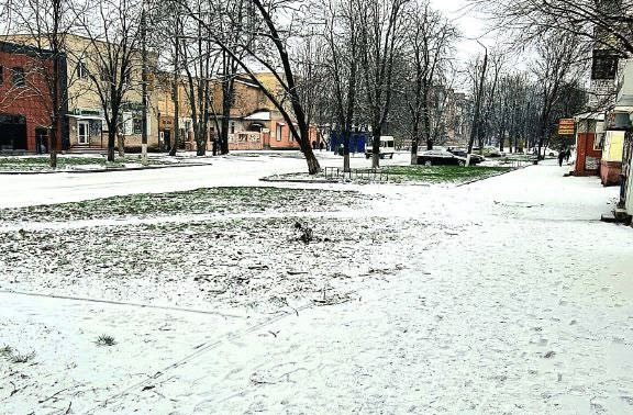 На Чернігівщині випав перший сніг