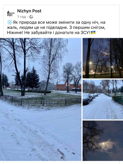 На Чернігівщині випав перший сніг