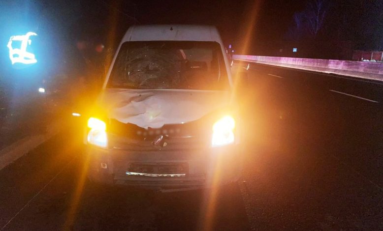 Поліція Чернігівщини шукає свідків аварії, в якій загинула жінка