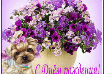 Анимация с Днем рождения женщине