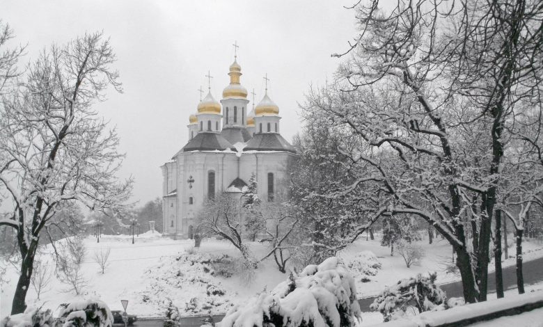 Бізнес, народження дитини та донати: цілі жителів Чернігівщини на наступний 2024 рік