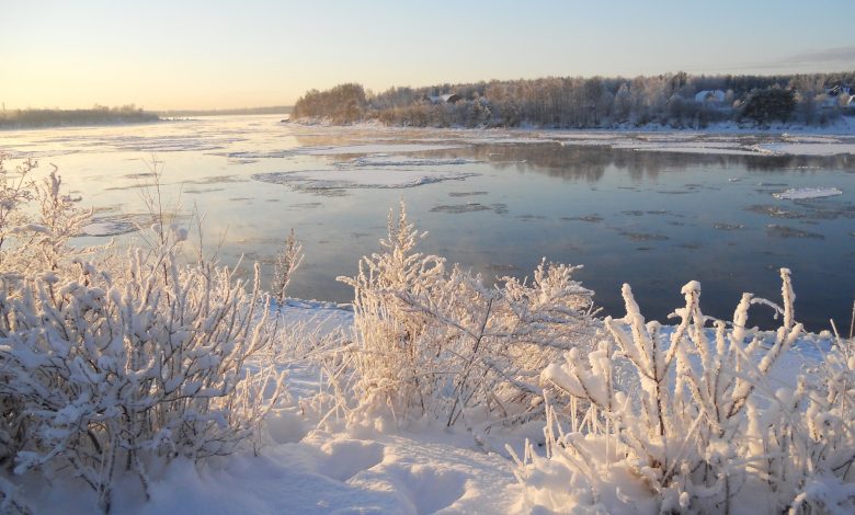 Мороз і ожеледиця: чернігівські синоптики про погоду на початок тижня