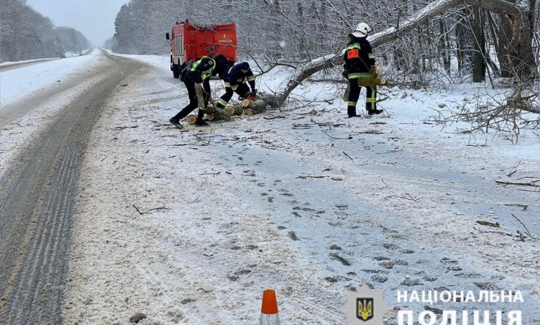 Негода на Чернігівщині: поліцейські допомагають розблокувати транспорт зі снігових заметів (Фото)