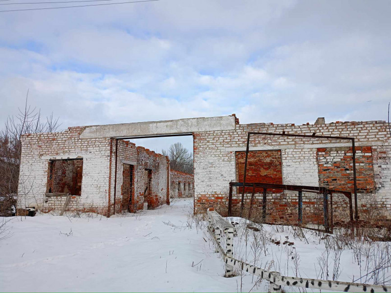 12 коней вижили, 9 загинули: кінноспортивний клуб «Гармонія» на околиці Чернігова оговтується від руйнувань (Фото)