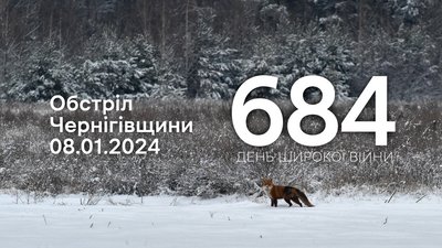 Росіяни з мінометів та ствольної артилерії обстріляли три громади на прикордонні Чернігівщини