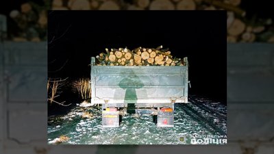 На Чернігівщині поліцейські виявили вантажівку зі зрубаною деревиною та трьох підозрюваних у рубці