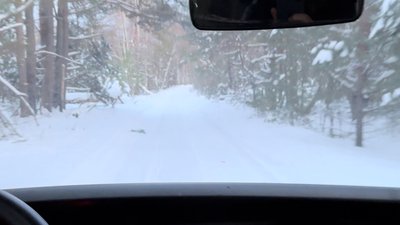 На прикордонні Чернігівщини хочуть обмежити рух дорогою, де російська ДРГ розстріляла цивільного жителя