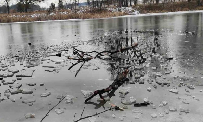Вода у річках Дніпро та Десна піднялася: затопило автомобільні дороги