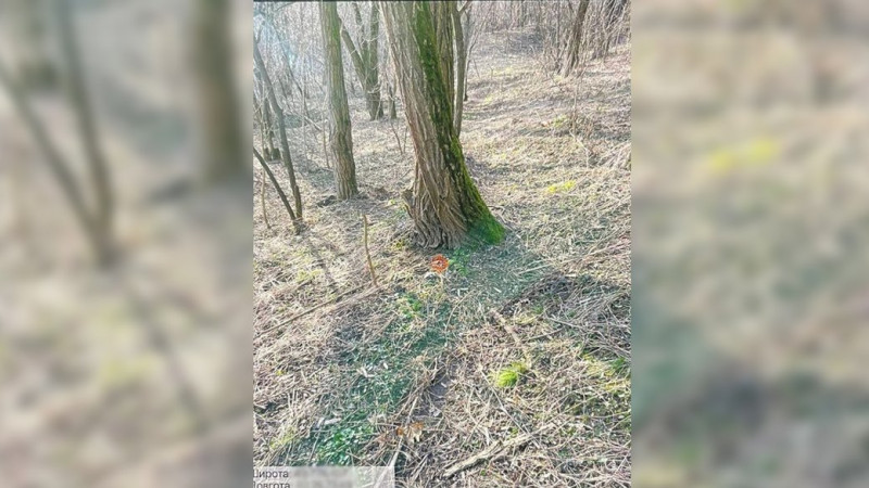 Знайшли згортки та переписку: у Прилуках на Чернігівщині затримали жителя Сумщини, якого підозрюють у збуті наркотиків