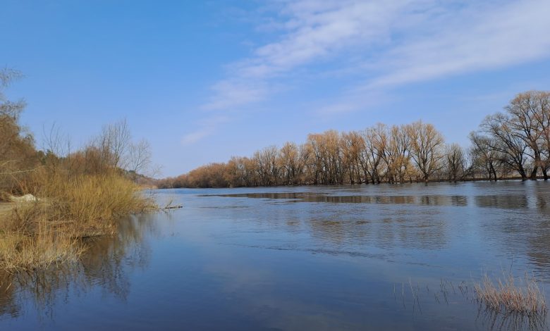 До 12º тепла: якими будуть перші дні весни на Чернігівщині