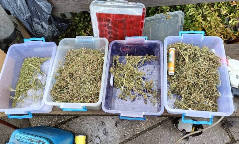 Поліцейські Чернігівщини затримали групу торгівців наркотиками та різними видами озброєння (Фото)