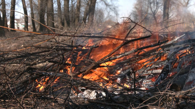 На жителів Чернігівщини склали 45 адмінпротоколів за випалювання сухої рослинності