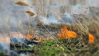 Росіяни скинули з БПЛА запальну суміш, яка спричинила пожежу на прикордонні Чернігівщини