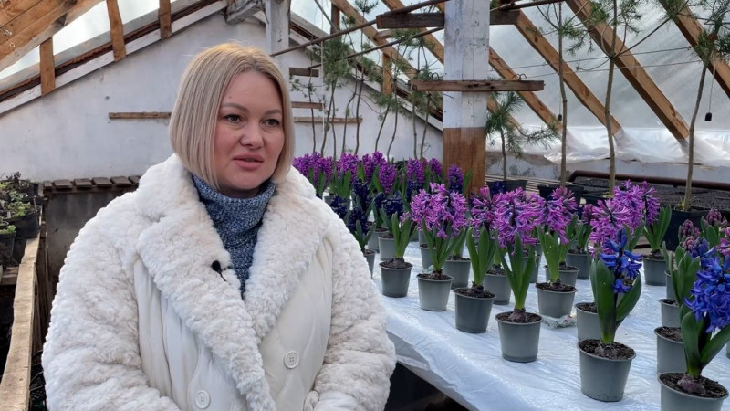 140 гіацинтів шести сортів та крокуси вперше виростили на Прилуцькій дослідній станції на Чернігівщині