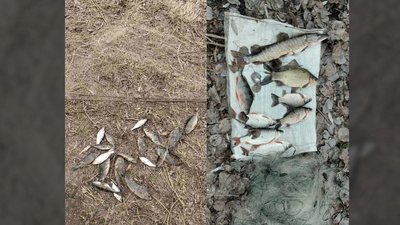Виловили 8 і 20 рибин на 16 і 55 тисяч гривень: на водоймах Менської громади викрили двох місцевих жителів з сітками
