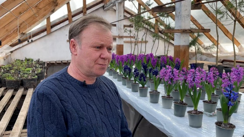 140 гіацинтів шести сортів та крокуси вперше виростили на Прилуцькій дослідній станції на Чернігівщині
