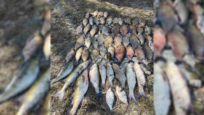 На Чернігівщині чоловік наловив риби на понад 100 тисяч гривень