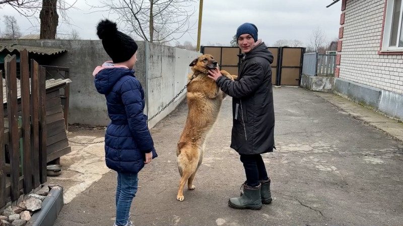 Виховує сімох дітей, з яких двоє рідні: родина з Чернігівщини відкрила дитячий будинок сімейного типу
