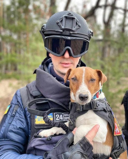 Куди зник чернігівський пес Патрон та чому з’явилися чутки про його загибель