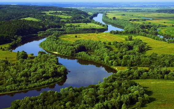 На Чернігівщині створено одну з найбільших в Україні «Армій відновлення»