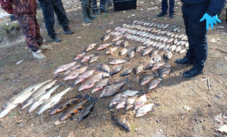 Наловили на 216 тисяч: на Чернігівщині затримали двох браконьєрів