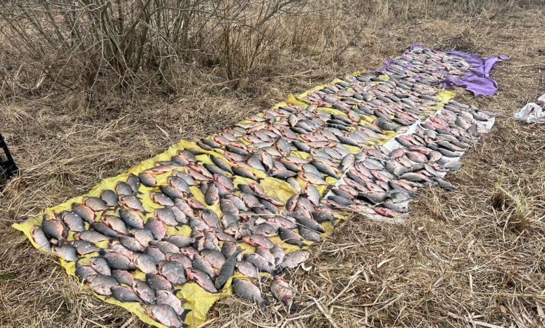 Прикордонники затримали браконьєрів на Чернігівщині (Фото)