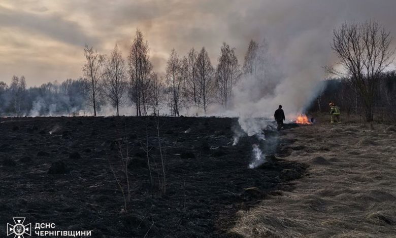 Протягом вихідних на Чернігівщині сталося сім пожеж