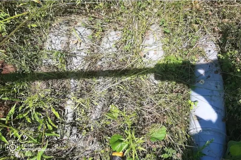 13 залучень за добу: піротехніки продовжують очищати Чернігівщину від вибухонебезпечних предметів