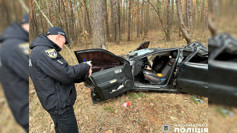 Водій в реанімації з пошкодженням хребта: в якому стані люди з авто, на яке впало дерево на Чернігівщині